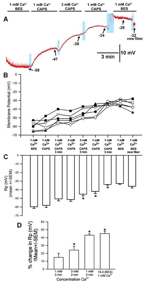 Biology | September 2024 - Browse Articles