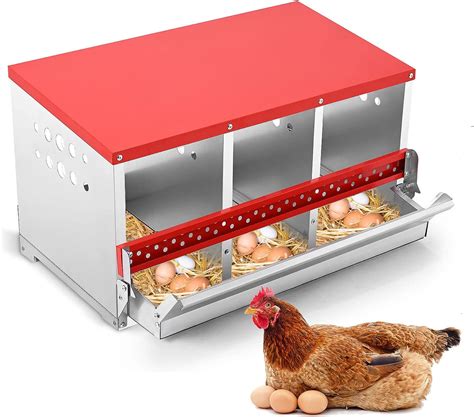 Amazon.com: Chicken Nesting Box, LIVOSA 3 Compartments Metal Chicken ...