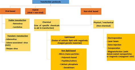 Transfection types, methods and strategies: a technical review [PeerJ]