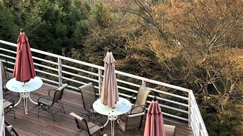Wallpaper cafe, tables, umbrellas, terrace, trees, view, aesthetics hd ...