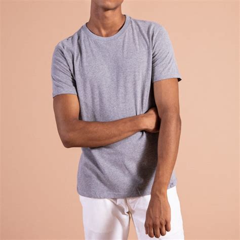 Timber Wolf Light Grey Round Neck T-shirt – Minizmo