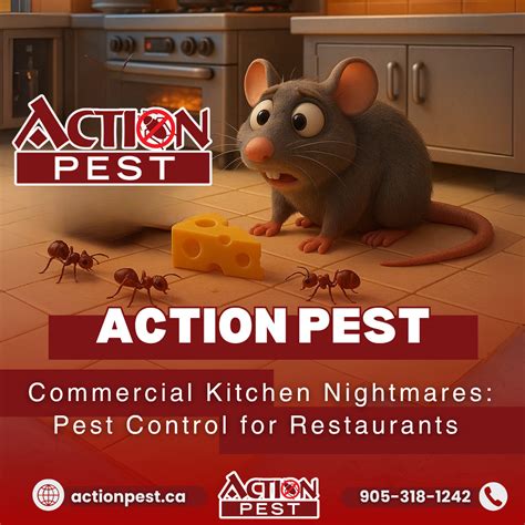 Commercial Kitchen Nightmares: Pest Control for Restaurants and Cafés ...
