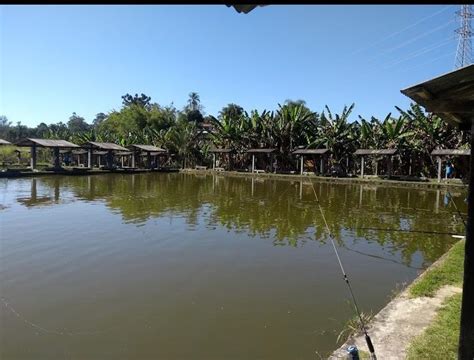 Pesqueiro Fernandes em Sorocaba com restaurante e pesca esportiva