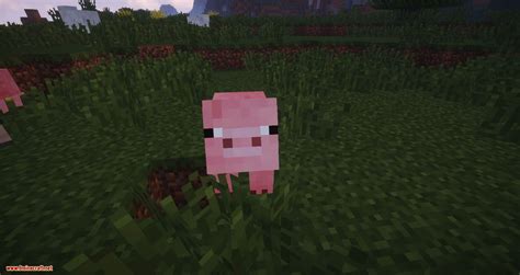 Image result for Better Animations Collection Mod