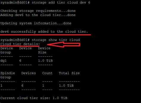 Configure ECS Cloud tier with Data domain | Dell India