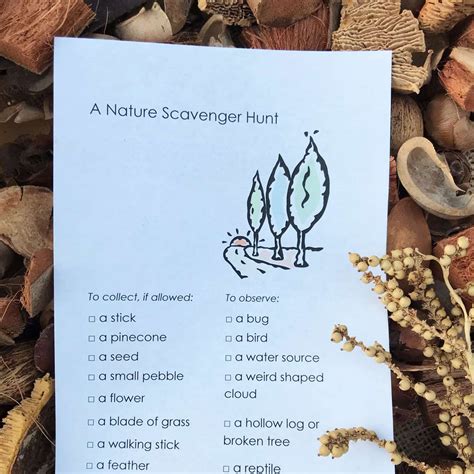 Nature Scavenger Hunt Nature Scavenger Hunt For Kids Carla Schauer