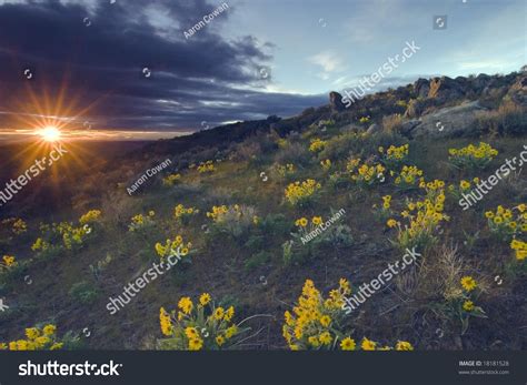 Foothills Sunset Boise Idaho Stock Photo (Edit Now) 18181528