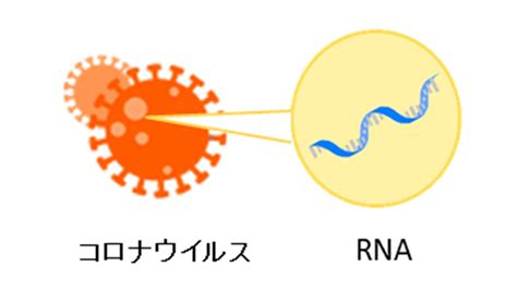 Image result for Non-Routine Testing