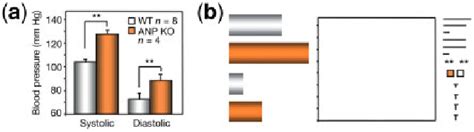 Image result for Vector Graphics Data Extraction