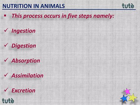 Image result for Class 9 Life Process Introduction