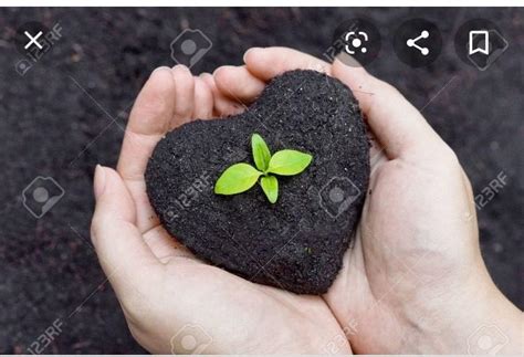how soil pollution can be prevented? - Brainly.in