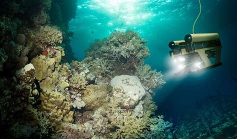 Sea Exploration 的图像结果