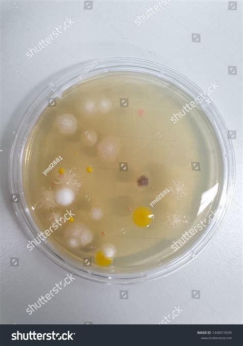 Image result for Clean Room Environmental Monitoring