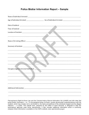 Fillable Online Police Blotter Information ReportSample (PDF) Fax Email ...