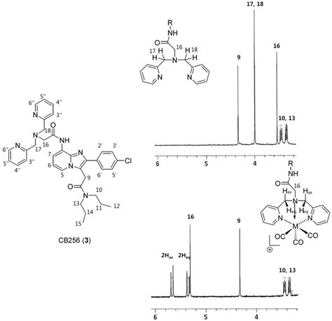 IJMS | Special Issue : Translocator Protein (TSPO)
