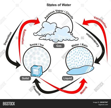 Sublimation Diagram Water Cycle