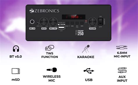 Zebronics Thump 250 24 Watts RMS, Trolley Speaker with Bluetooth 5.0 ...