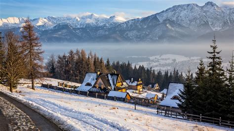 Cheap Zakopane Glamping Rentals from £22 | KAYAK