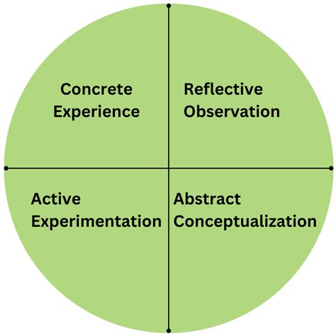 Insight Learning Theory: Definition, Stages, and Examples