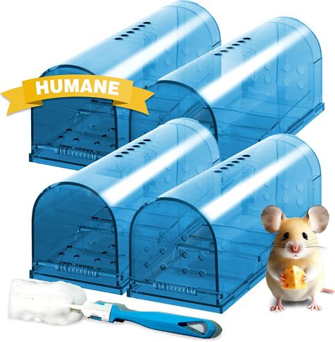 Amazon.com : Qualirey 2 Pcs Humane Mouse Trap Live Rat Trap Mice Cage ...