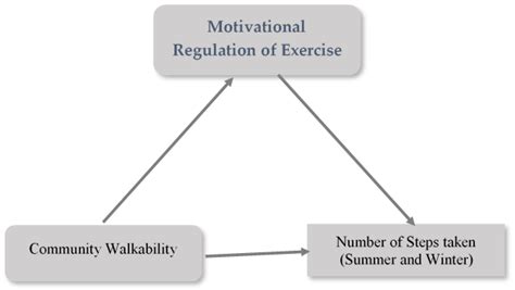 Environmental and Motivational Determinants of Physical Activity among ...