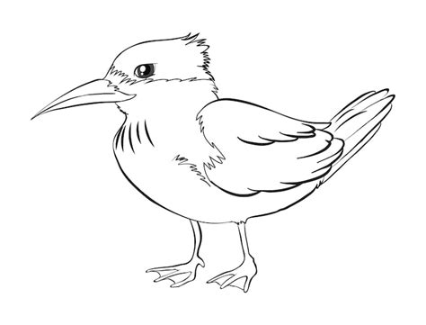 Bird drawing Images - Free Download on Freepik