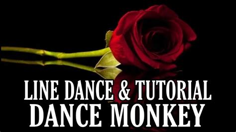 Image result for Dance Monkey Line Dance Tutorial