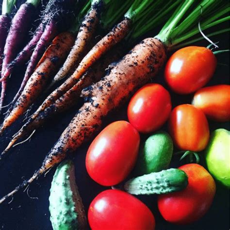 Locally Sourced Produce 的图像结果