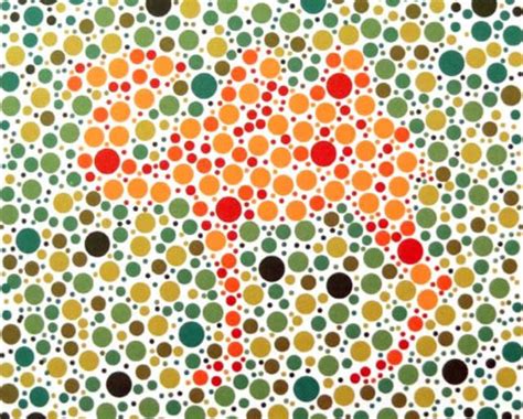 5张色盲色弱检测图，如果能全部识别出来，你就是全网最靓的仔 - 哔哩哔哩