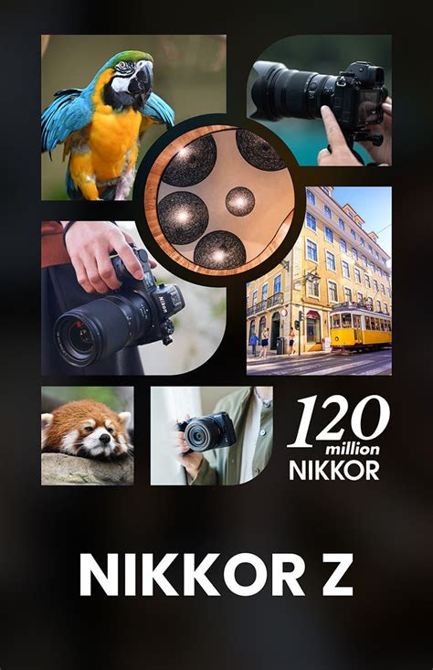 Mirrorless Lenses | Nikon India