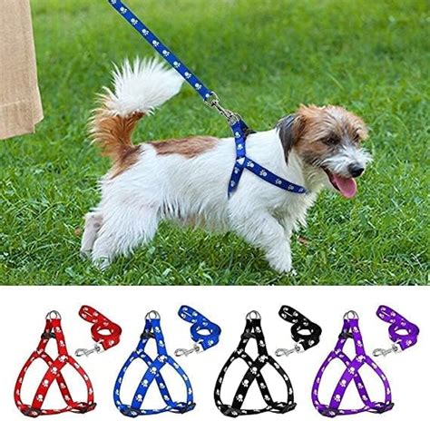 Senapati Ghungroo Dog Combo Pack of Harness, Neck Collar Belt and Rope ...