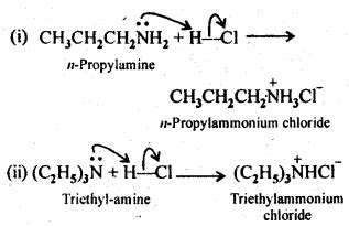 NCERT Solutions for Class 12 Chemistry Chapter 13 | Download Free PDF