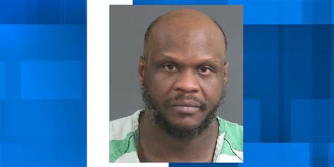 Man accused of running from Charleston Co. deputies, punching 1
