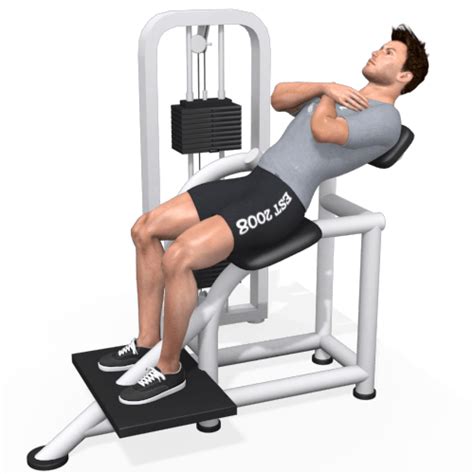 Lower Back Exercise Machine 的图像结果