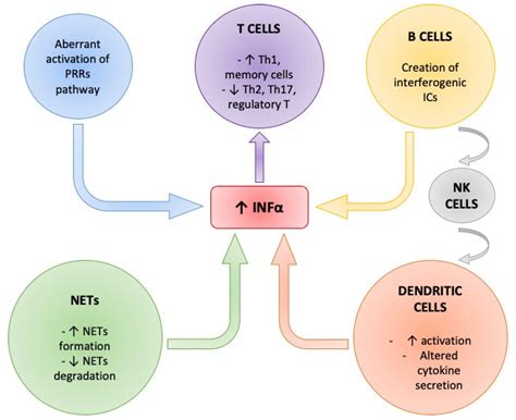 Unraveling the Link between Interferon-α and Systemic Lupus ...
