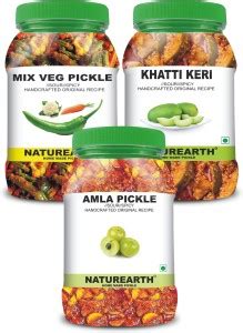 NaturEarth 100% Natural Amla , Mix-Veg & Khatti keri Pickle(600 g ...