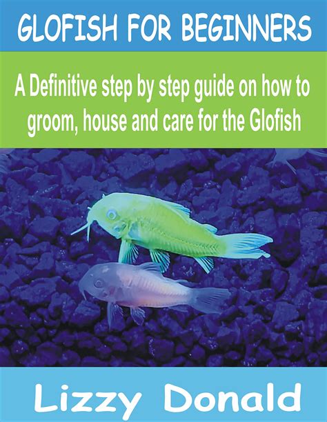 How Much To Feed Glofish | How Much Flakes To Feed Goldfish - OAPHT