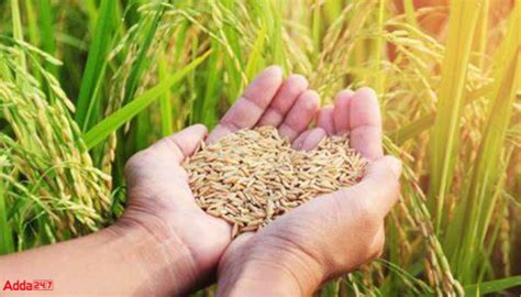 New Integrated Food Security Scheme Named as Pradhan Mantri Garib ...