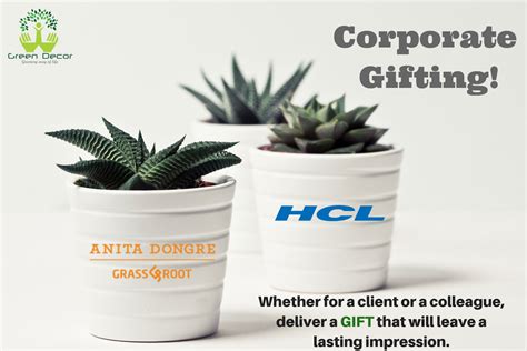 Corporate Gifting Plants In Delhi, Eco-Friendly Corporate Gifting ...