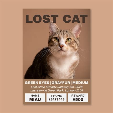 Create Guessing Game with JavaScript 的图像结果