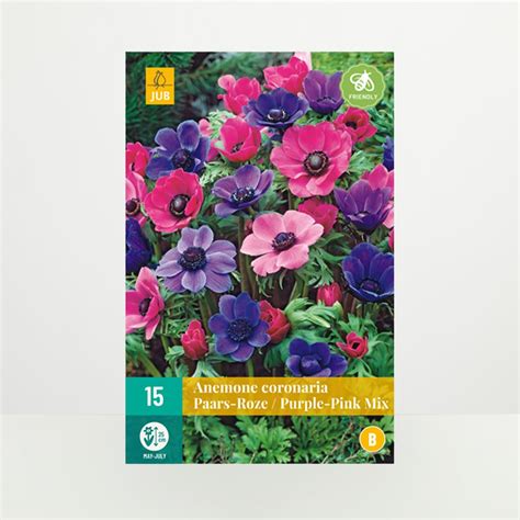 Blumenhoroskop | BLUME2000