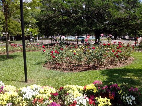 THE 10 BEST Places to Visit in Concordia (2026)