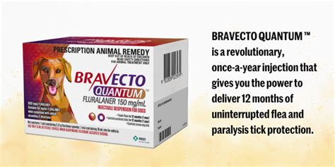 Image result for Program Flea Control Injection