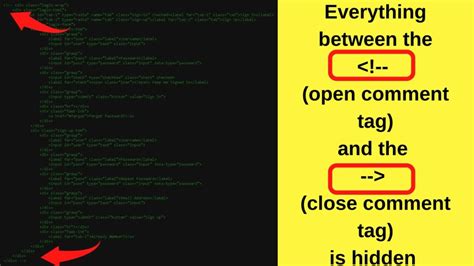 Comment Tag in HTML 的图像结果
