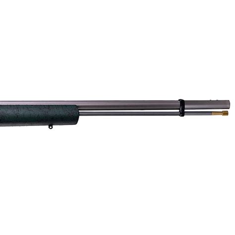 Image result for Bolt Action Muzzleloader