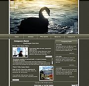 Flash Templates 的图像结果