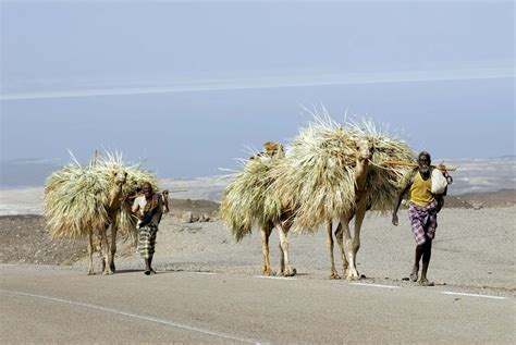 Djibouti | History, Capital, Map, Flag, Population, & Facts | Britannica