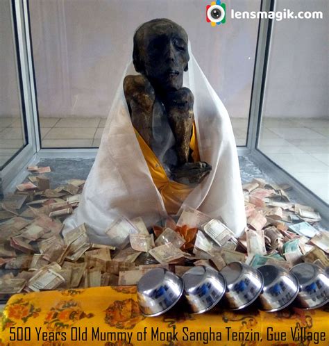 Caterpillar Moth On Leaf | Lensmagik.com