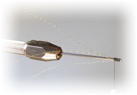 Image result for Mini Snake Fly Pattern