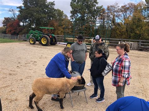 Community-Based Day Programs | Aspire Living & Learning